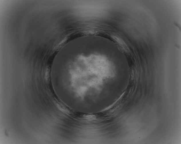 X0000091730409200709071505