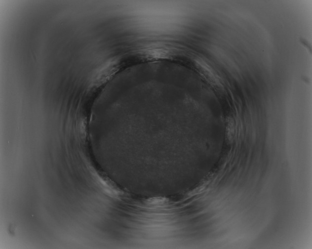 X0000091730410200709071505