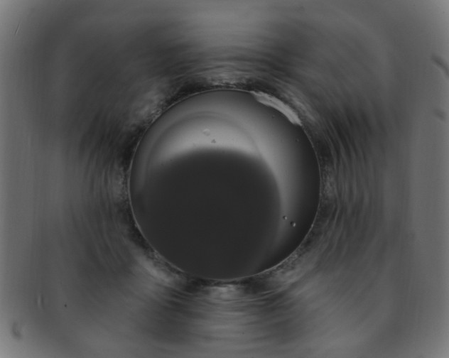 X0000091730411200709071505