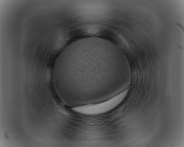 X0000091730412200709071505