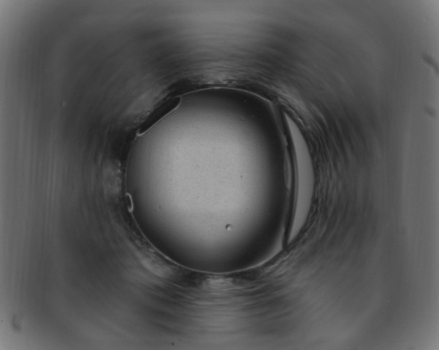 X0000091730413200709071505