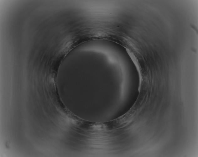 X0000091730415200709071505