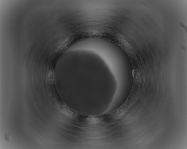 X0000091730419200709071504