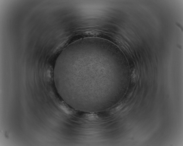 X0000091730424200709071504