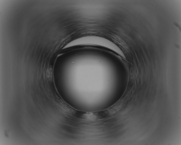 X0000091730425200709071504