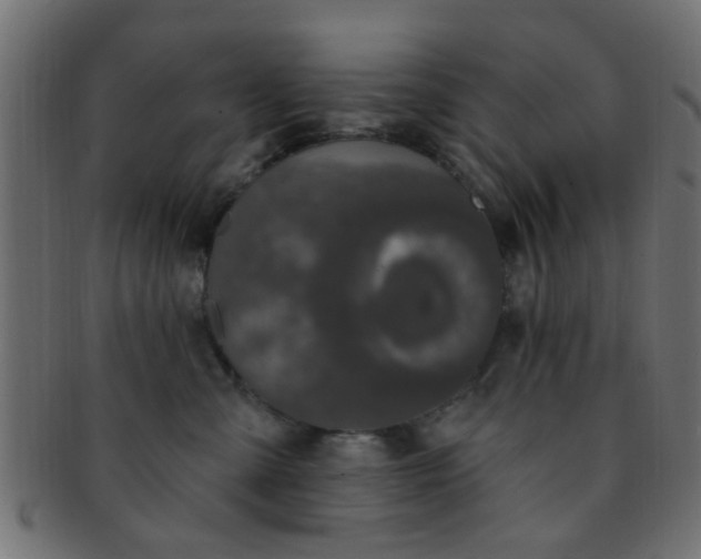 X0000091730427200709071504