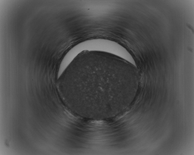 X0000091730428200709071504