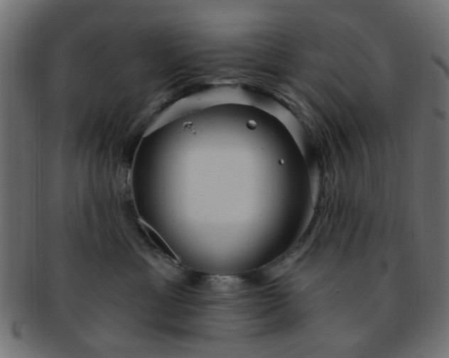 X0000091730429200709071504