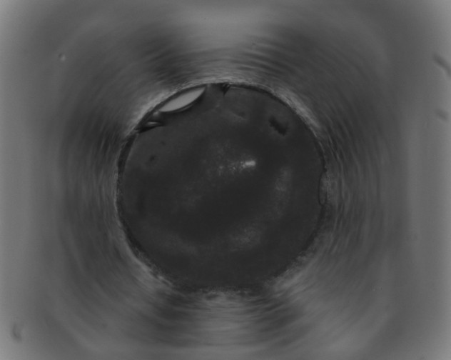 X0000091730434200709071504