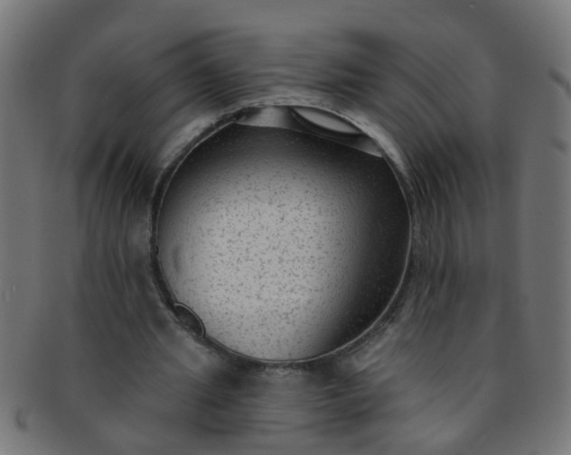 X0000091730437200709071504