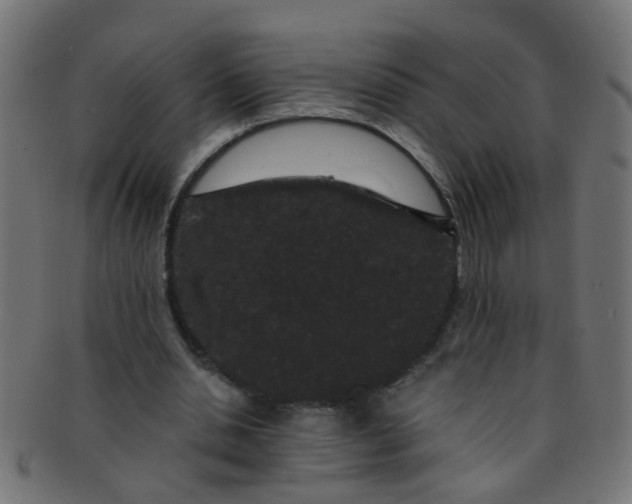 X0000091730438200709071504