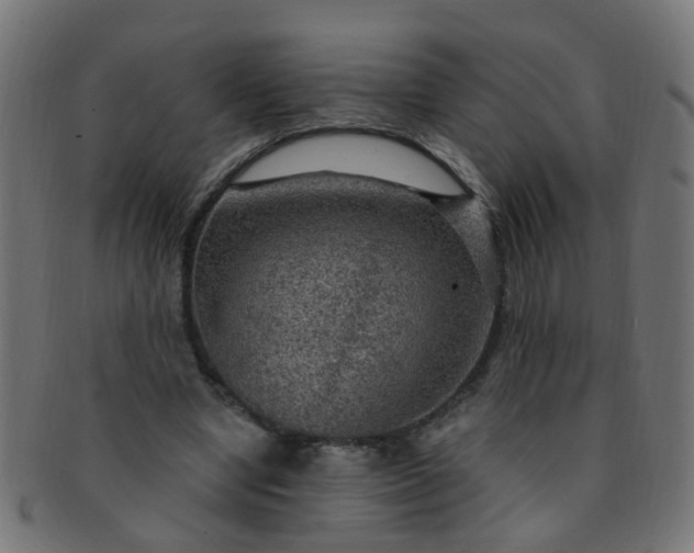 X0000091730442200709071504