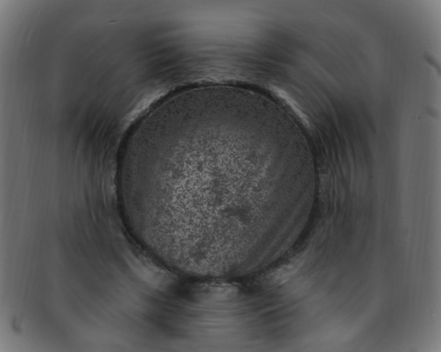 X0000091730443200709071504