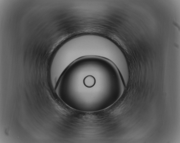 X0000091730444200709071504