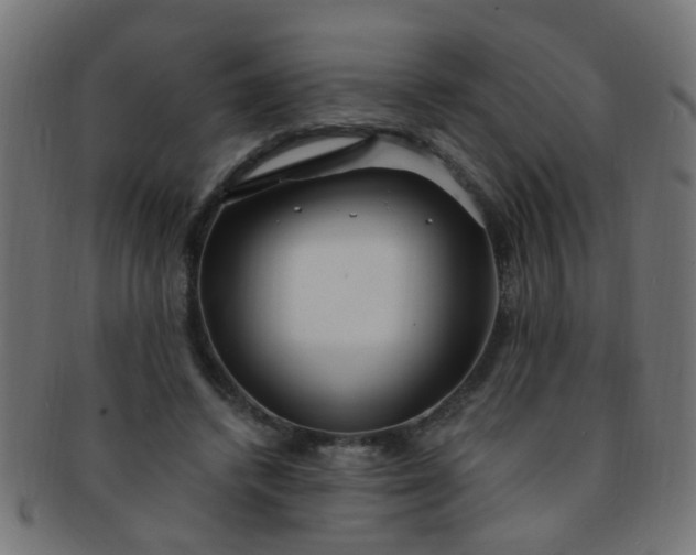 X0000091730448200709071504