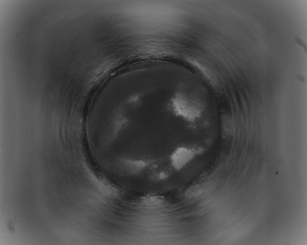 X0000091730451200709071504