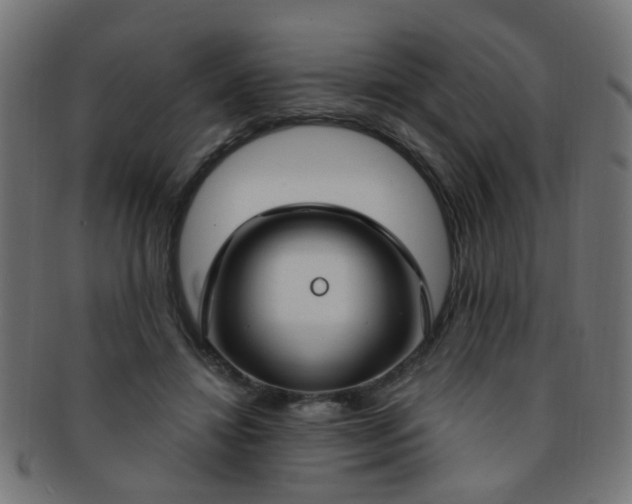 X0000091730452200709071504