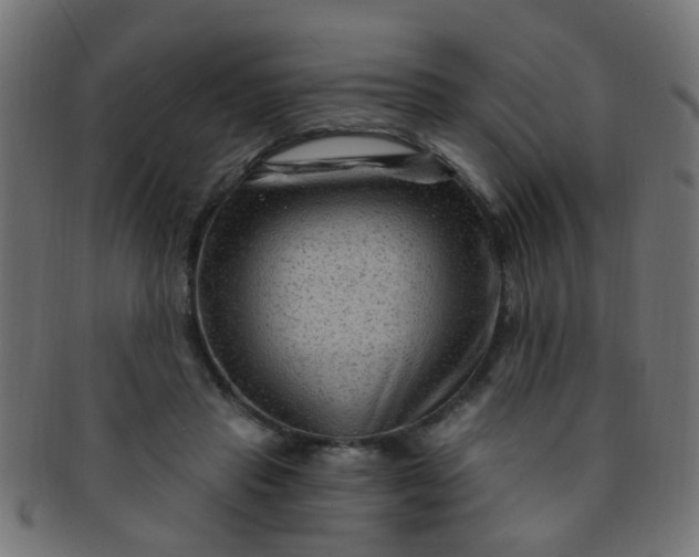 X0000091730453200709071504