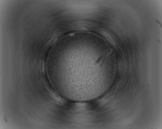 X0000091730457200709071504