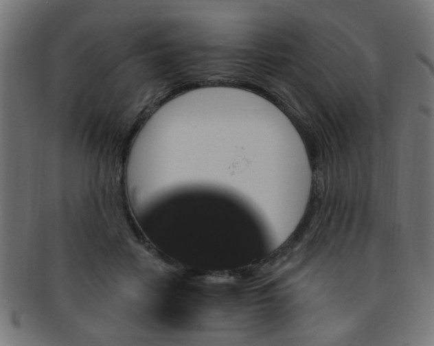 X0000091730458200709071504