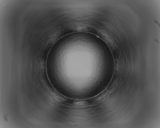 X0000091730461200709071504