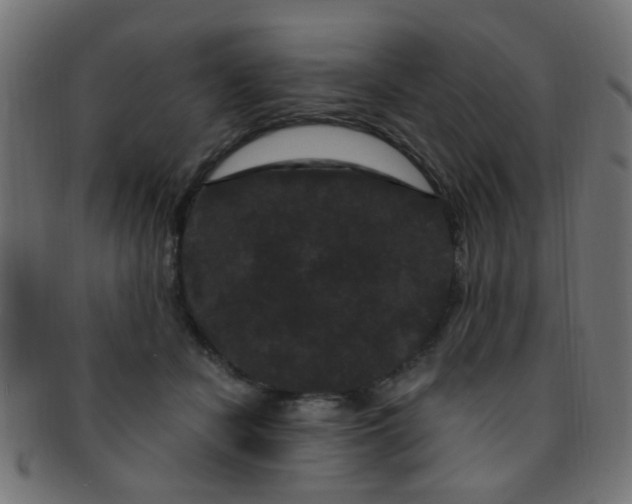 X0000091730462200709071504