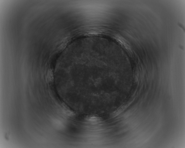 X0000091730467200709071504