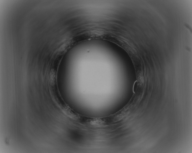 X0000091730468200709071504