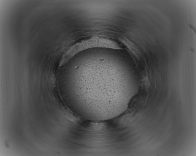 X0000091730469200709071504