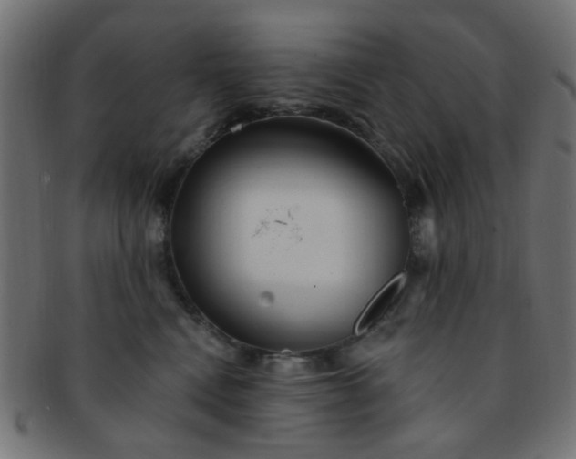 X0000091730472200709071504