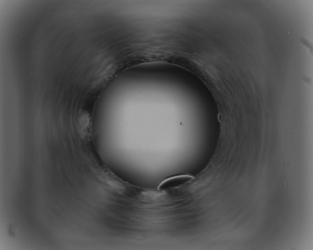 X0000091730480200709071504