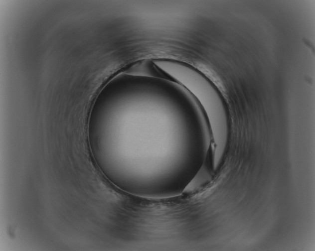 X0000091730481200709071504