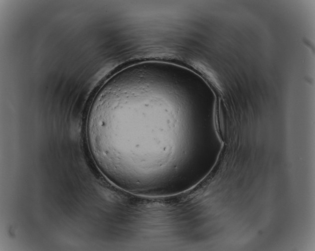 X0000091730483200709071503