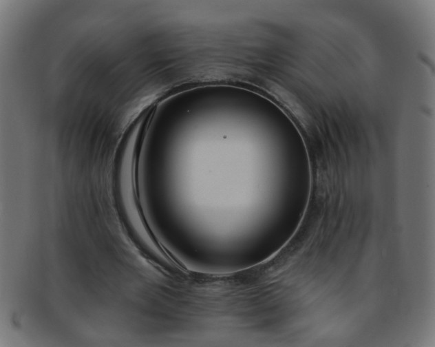 X0000091730485200709071503