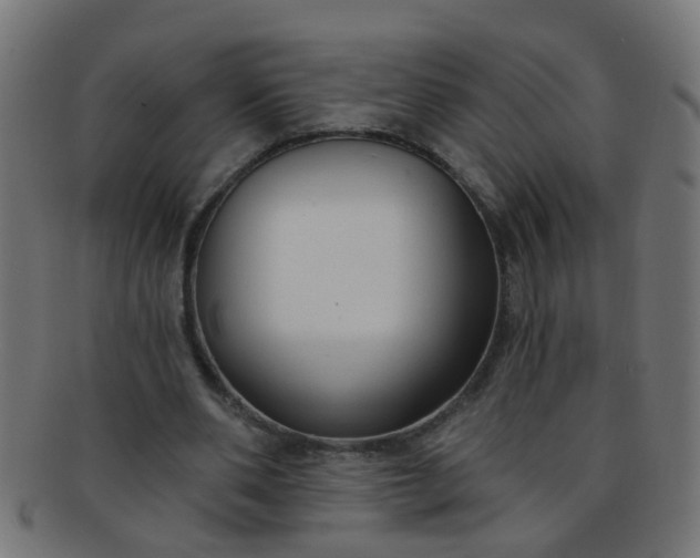 X0000091730486200709071503