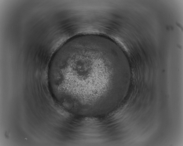 X0000091730487200709071503