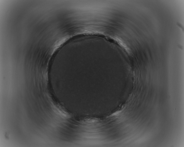 X0000091730488200709071503