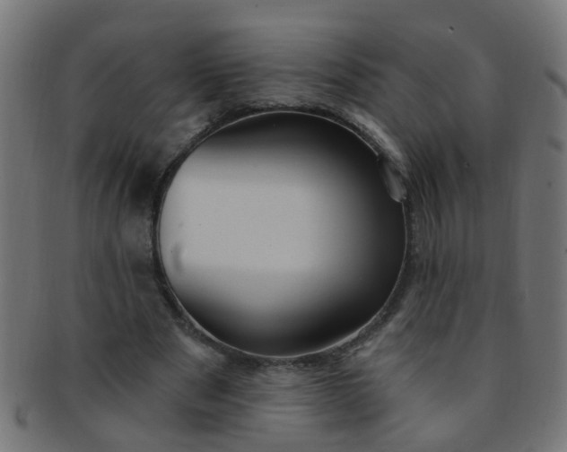 X0000091730489200709071503