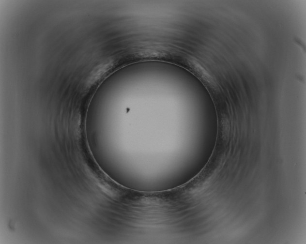 X0000091730490200709071503