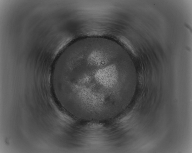 X0000091730491200709071503