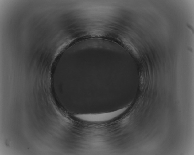 X0000091730492200709071503