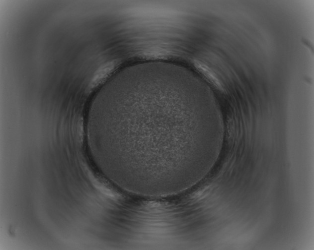 X0000091730494200709071503