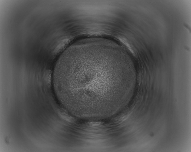 X0000091730495200709071503