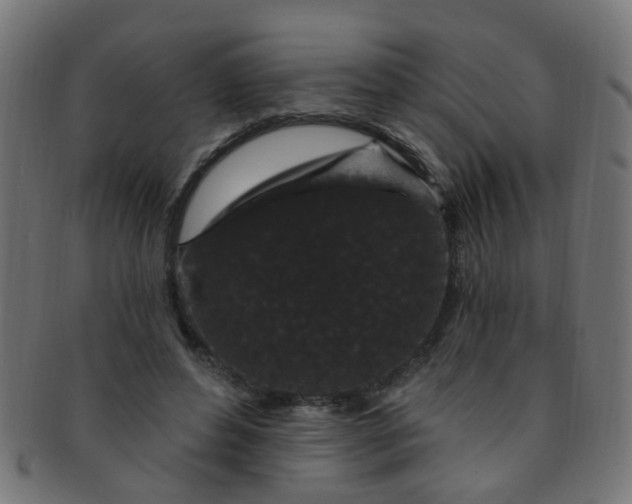 X0000091730496200709071503