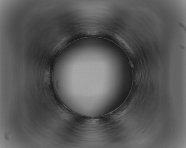 X0000091730497200709071503