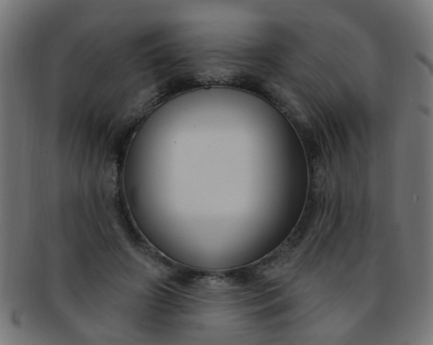 X0000091730498200709071503