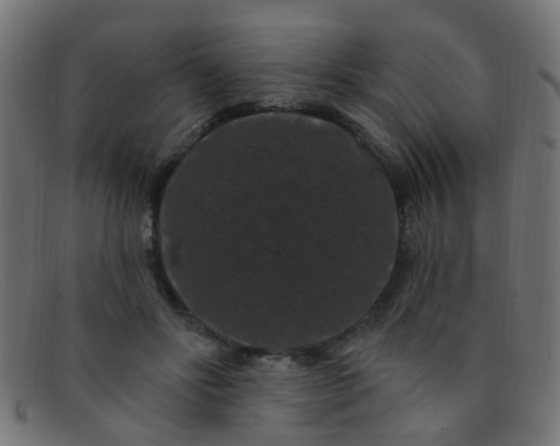 X0000091730502200709071503