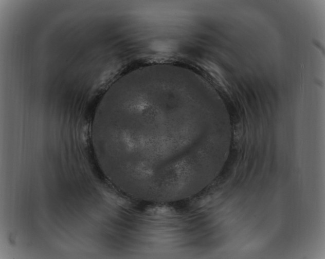 X0000091730503200709071503