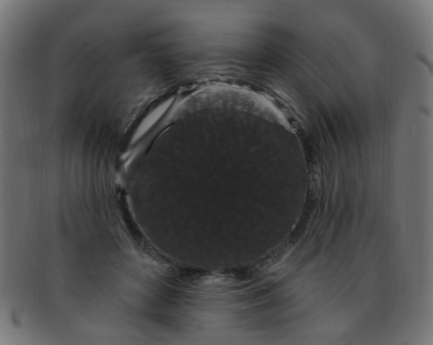 X0000091730504200709071503