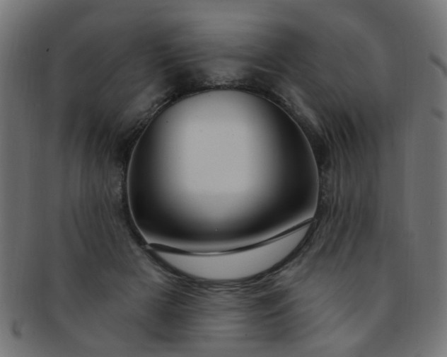 X0000091730505200709071503